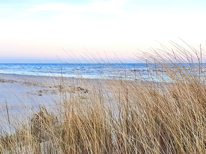 Others 4, 4 Star Holiday Home in Albaek, Frederikshavn