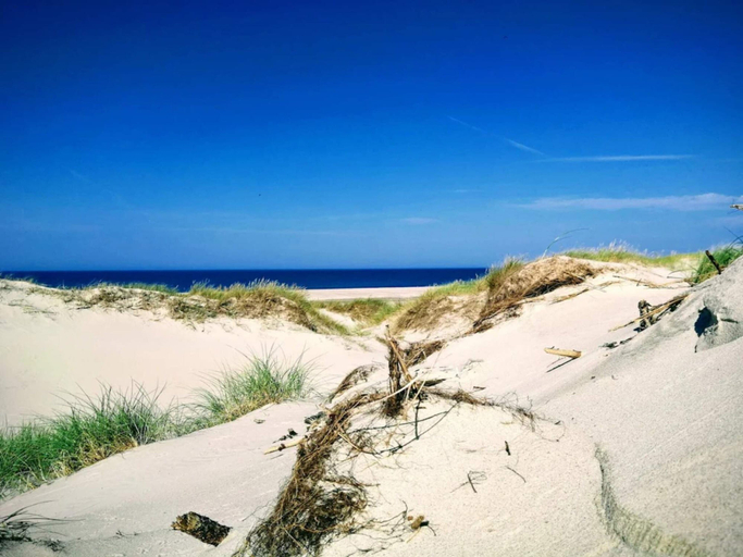 Others 5, 5 Star Holiday Home in Norre Nebel, Varde