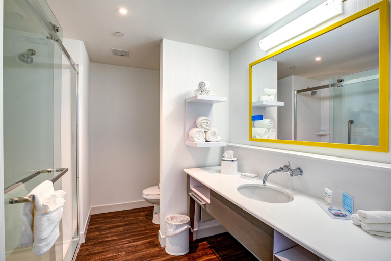 Bathroom 4, Hampton Inn & Suites Boston/Waltham, Middlesex
