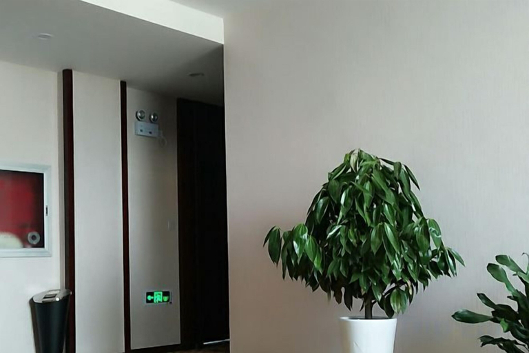 Others 5, MingJue, Zhenjiang