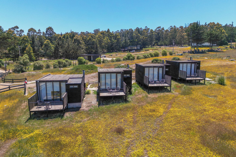 Others 5, Lafk Lodge, Cardenal Caro