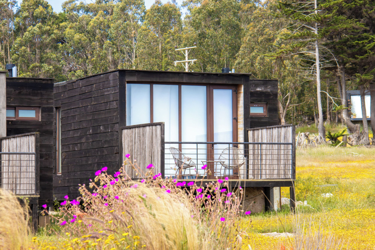 Others 3, Lafk Lodge, Cardenal Caro