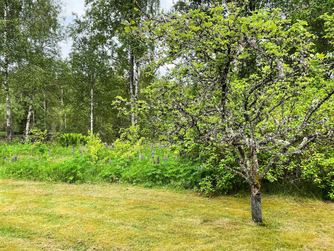 Others 2, 4 Person Holiday Home in Hacksvik, Svenljunga