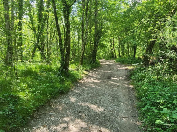 Others 4, Holiday Home Belka, Tolmin