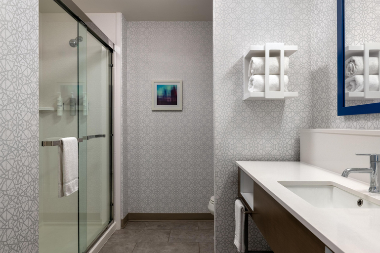 Bathroom 3, Hampton Inn & Suites Ypsilanti, Washtenaw