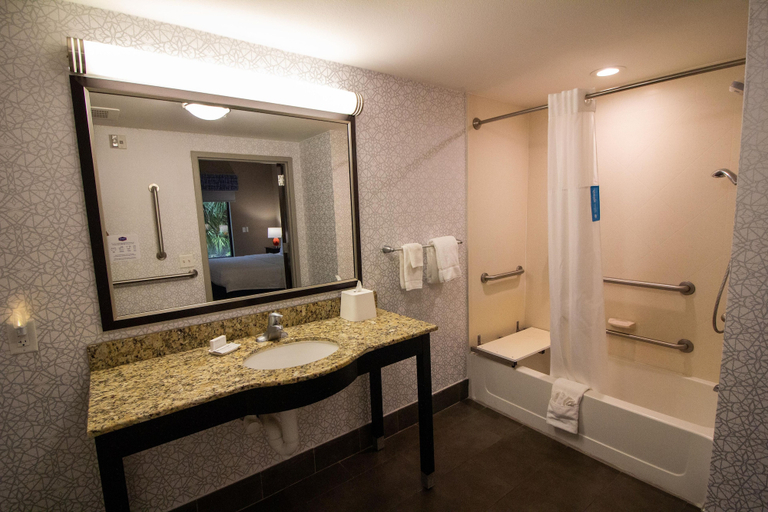 Bathroom 5, Hampton Inn Crystal River, FL, Citrus