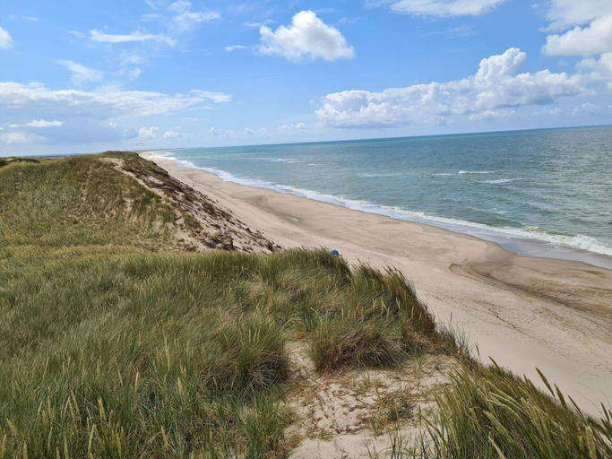Others 5, 12 Person Holiday Home in Ulfborg, Holstebro