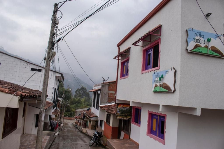 Exterior & Views 2, Hostal Palmas de Cocora, Salento