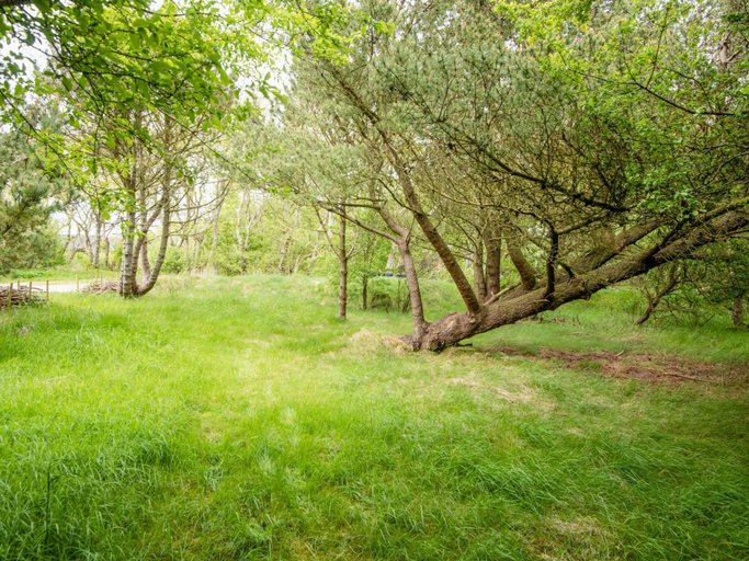 Others 4, 6 Person Holiday Home in Hurup Thy, Thisted