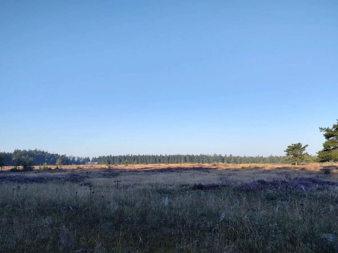 Others 5, 6 Person Holiday Home in Hovborg, Vejen