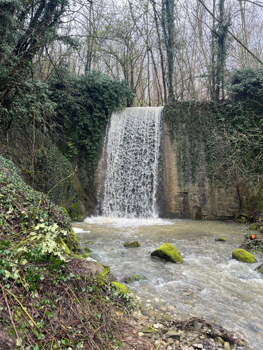 Others 5, Vista Romena, Arezzo