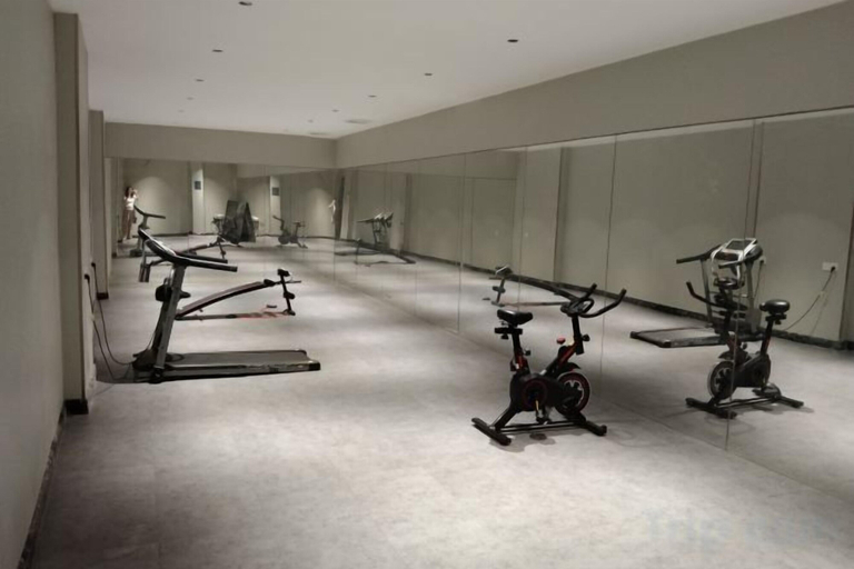 Others 4, Vienna Hotel (Foshan Zumiao Museum Lingnan Tiandi Branch), Foshan