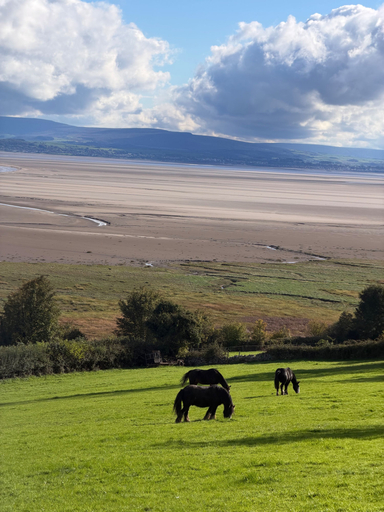 Others 4, Camping Pod - Stay4 - Uniquelocation - Petfriendly, Cumbria