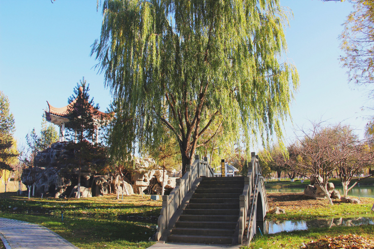 Others 3, Yining Yili River Hotel, Ili Kazakh