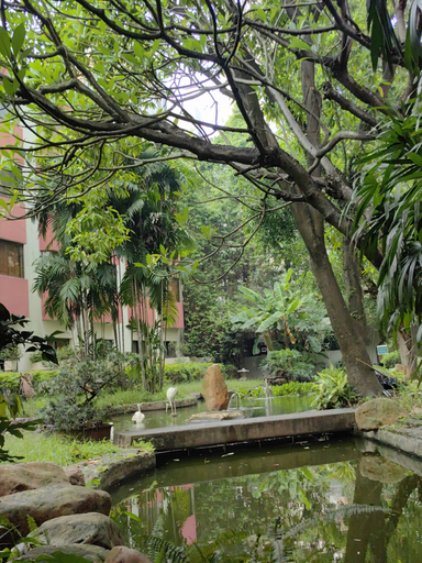 Others 5, Dongguan Hotel, Dongguan