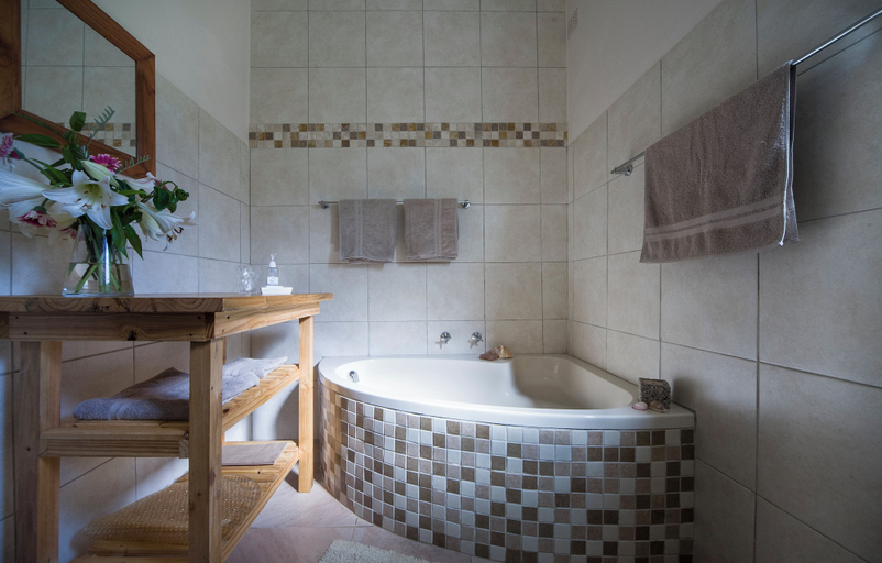 Bathroom 3, Assegai Rest, Cape Winelands