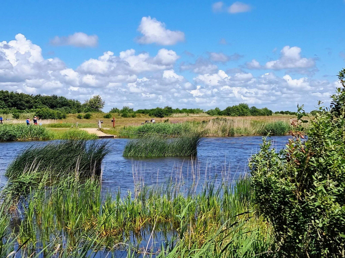 Others 4, 6 Person Holiday Home in Tarm, Ringkøbing-Skjern