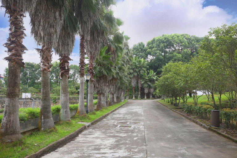 Others 3, Wuyishan Yiyang Resort Hotel (Yinxiang Dahongpao), Nanping