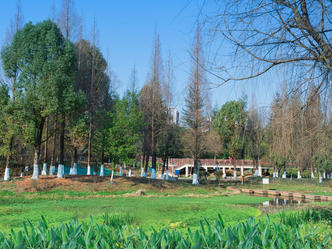 Others 5, Yunzhen Garden Hotel (Kunming South Railway Station Branch), Kunming