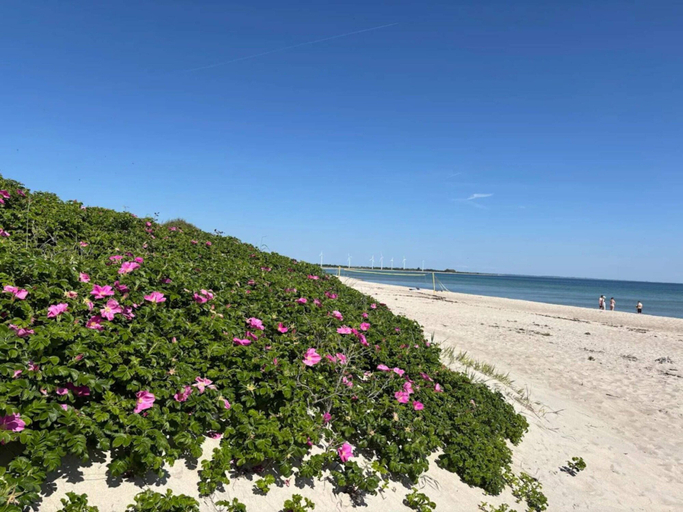 Others, 5 Star Holiday Home in Sydals, Sønderborg