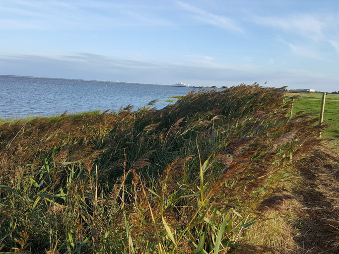 Others 3, 4 Star Holiday Home in Romo, Tønder