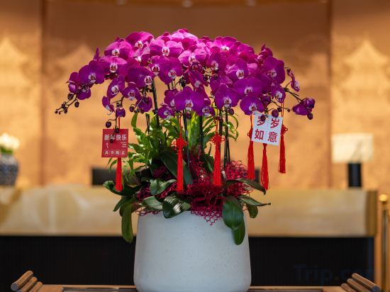 Others 4, Lizhengmen Hotel, Hangzhou