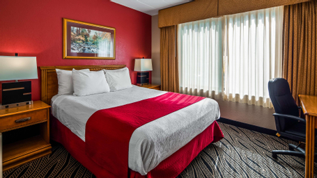 1 Queen Bed, Mobility Accessible, Bathtub, Smoking Room, Continental Breakfast