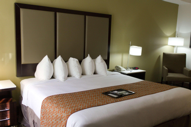 1 KING BED,NSMK,HI SPEED,MICFRG,COFMKR,HAIR,IRN/BRD,FULL BREAKFAST