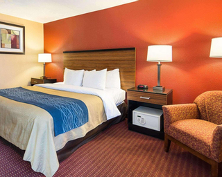 1 King Bed, Nonsmoking, Accessible