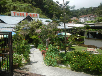 Twin Pines Guesthouse, cameron highlands