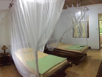 Bedroom 4, Ecolodge Bukit Lawang, Langkat