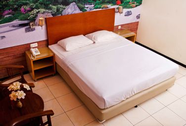 Double Superior Room or Other Beds