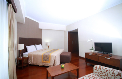 Room with Double or Other Beds