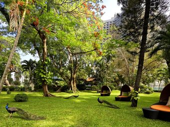 Exterior & Views 1, Royal Orchid Sheraton Hotel & Towers, Khlong San