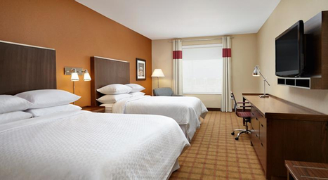Traditional, Guest room, 2 Queen