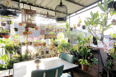 Exterior & Views 1, Wanderlust, Yogyakarta