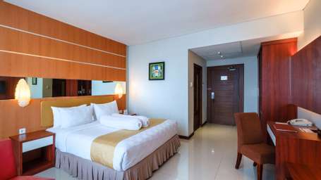 Kamar Premier King - Pemandangan Kota