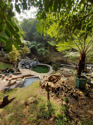 Villa TriTe hot spring water park, subang