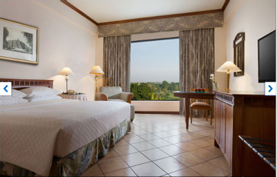 Kamar dengan Ranjang King - Pemandangan Taman