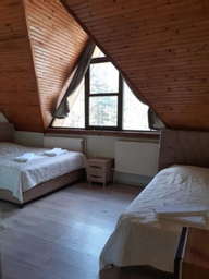 Standart Room with Forest View