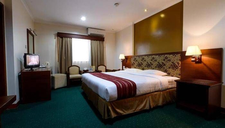 Kamar Eksekutif Double - Pemandangan Kota