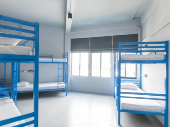 Bunk Bed in 8-Bed Female Dormitory Room