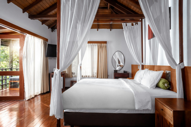 Kamar dengan Ranjang Queen - Pemandangan Hutan