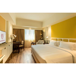 Double Executive Room or Other Beds - City View