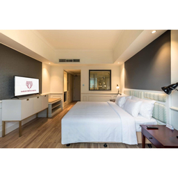 Room with King Bed - View