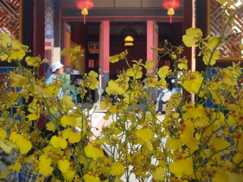 Exterior & Views 1, Piano Piano B&B, Kinmen