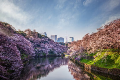 Exterior & Views 1, Four Seasons Hotel Tokyo At Otemachi, Chiyoda