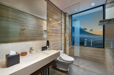 Kamar Deluks King - Pemandangan Taman