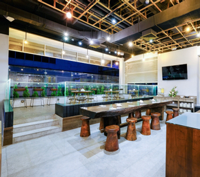 Food & Drinks