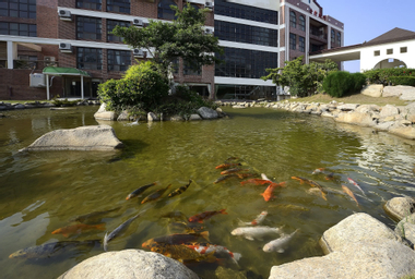 Exterior & Views 2, Jinsa Lakeside View Hotel, Kinmen